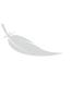 div-feather-white div-feather-white
