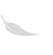 Feather Logo